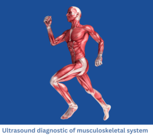 Ultrasound diagnostic of musculoskeletal system